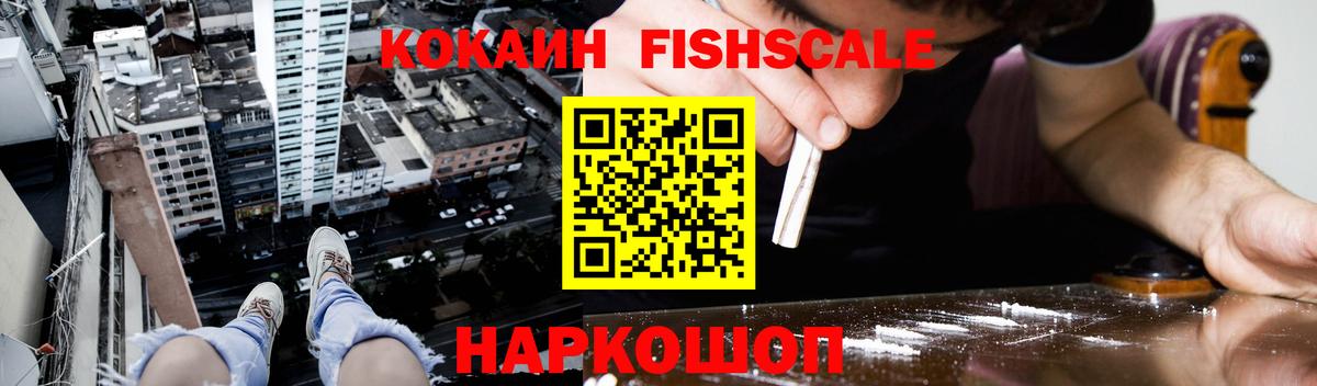 COCAIN Fish Scale  Вход с VPN  Чапаевск 