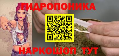 герыч Кингисепп