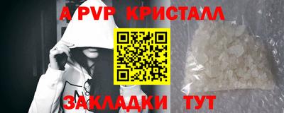 герыч Кингисепп