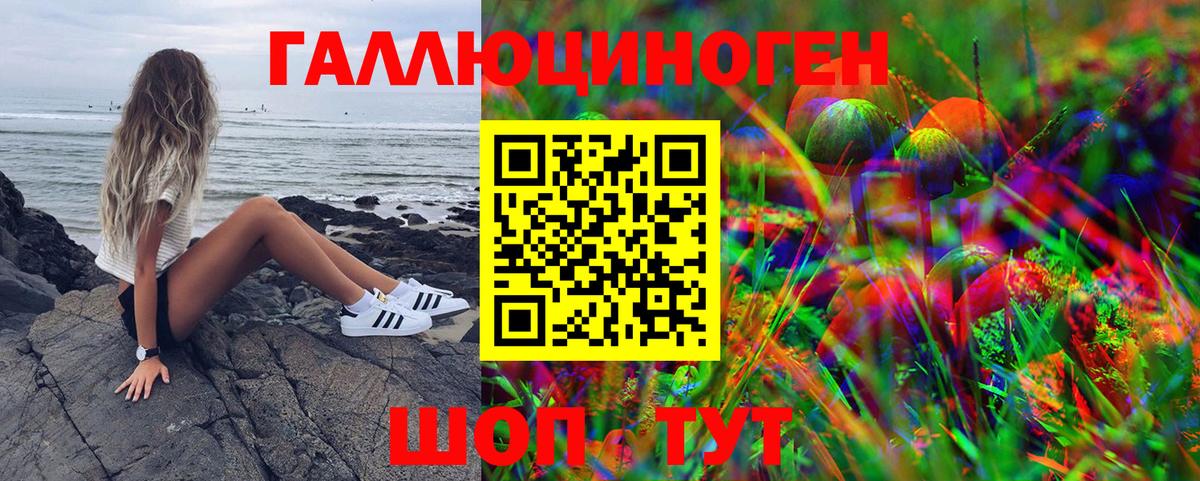 Псилоцибиновые грибы мухоморы  где можно купить наркотик  Чапаевск  Вход с VPN 